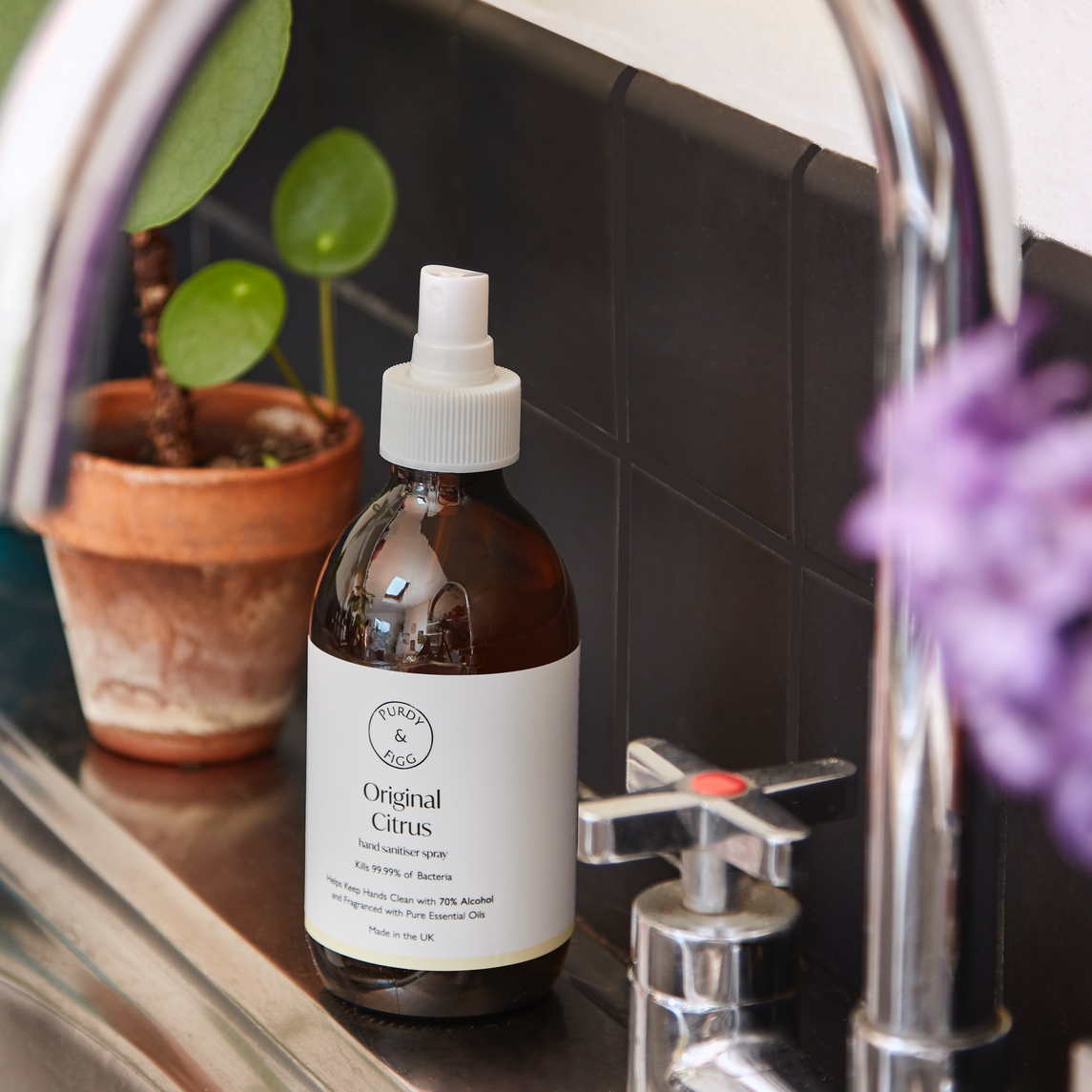 Purdy & Figg spray beside a sink and potted plant